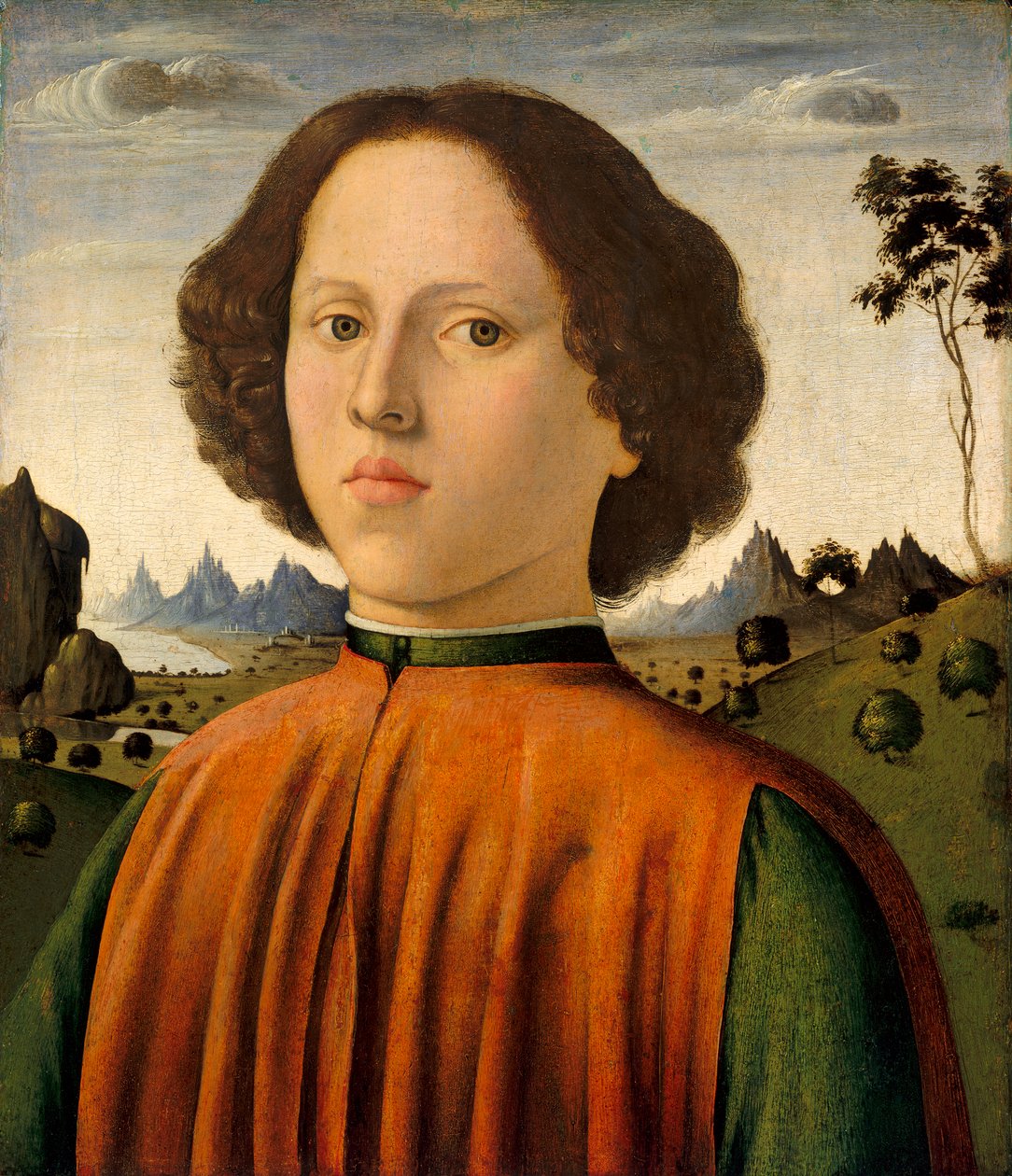 Portrét chlapce, c.14761480 (olej a tempera na panelu) od Biagio d