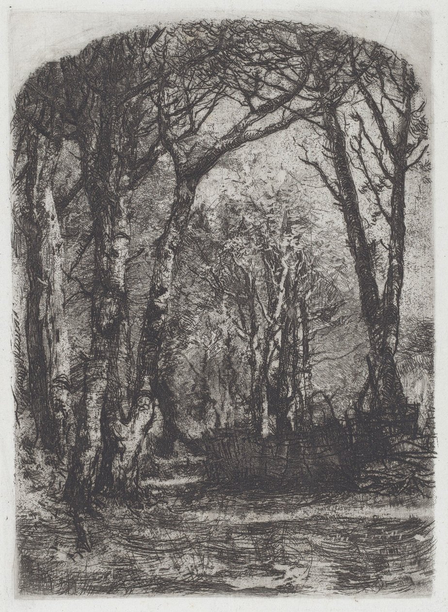 Woods [Bosco], kolem roku 1895. od Bianchi Mose