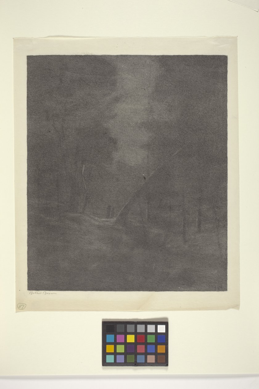 Moonlight Woods (inkoust na papíře) od Bolton Coit Brown