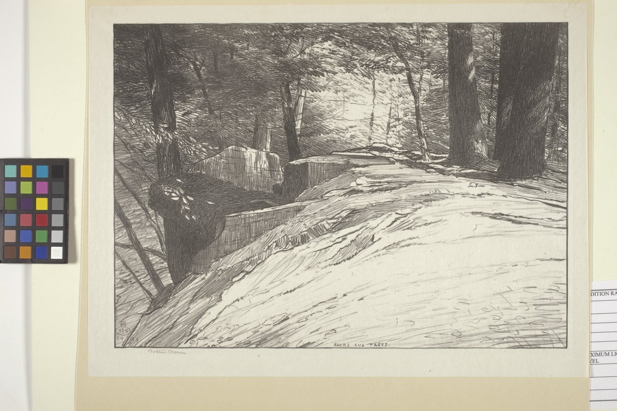 Skály a stromy (inkoust na papíře) od Bolton Coit Brown