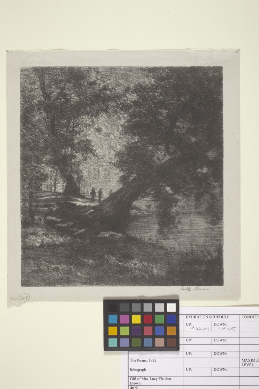 Piknik (inkoust na papíře) od Bolton Coit Brown