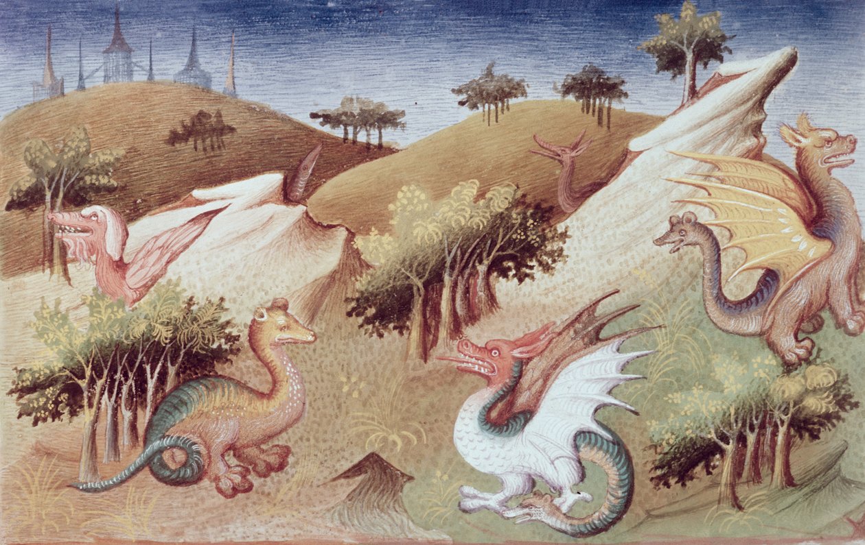 Paní Fr 2810 f.55v, Draci a jiná zvířata, z „Le Livre des Merveilles du Monde“, kolem 1410-12 (tempera na pergamenu) od Boucicaut Master