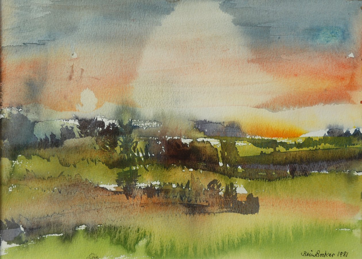 After Rain, 1981 (wc na papíře) od Brenda Brin Booker