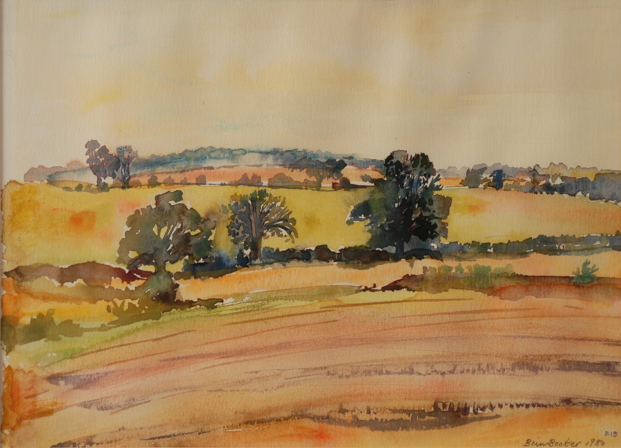 Suffolk Landscape, 1980 (wc na papíře) od Brenda Brin Booker