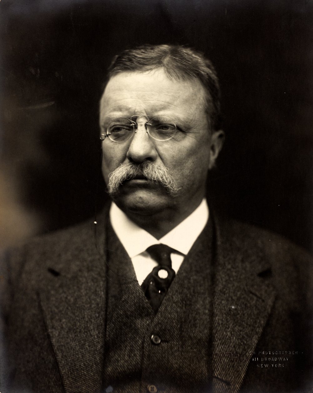 Theodore Roosevelt, kolem roku 1915 (černobílá fotografie) od Brothers Pach