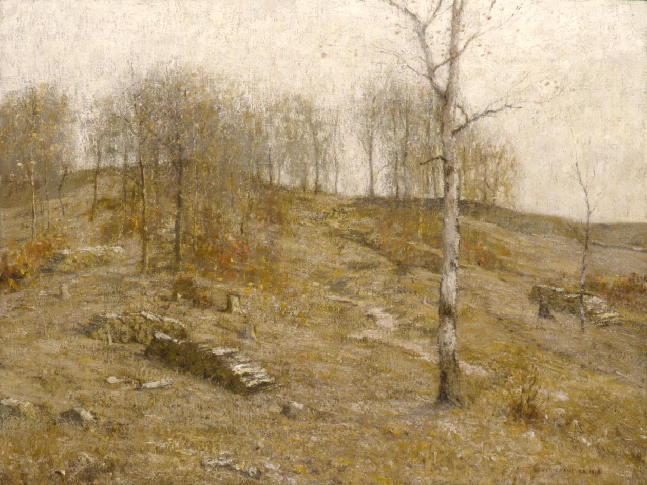 Prosincová vrchovina, 1919. od Bruce Crane