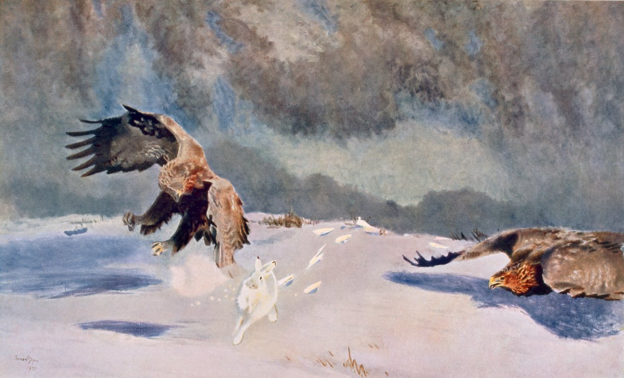 Orli a králík, 1922 od Bruno Andreas Liljefors