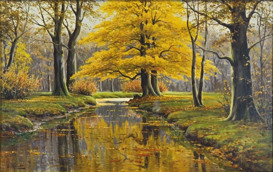 Herbstwald mit Bachlaufn Němec: Herbstwald mit Fluzulaufn od Bruno Moras