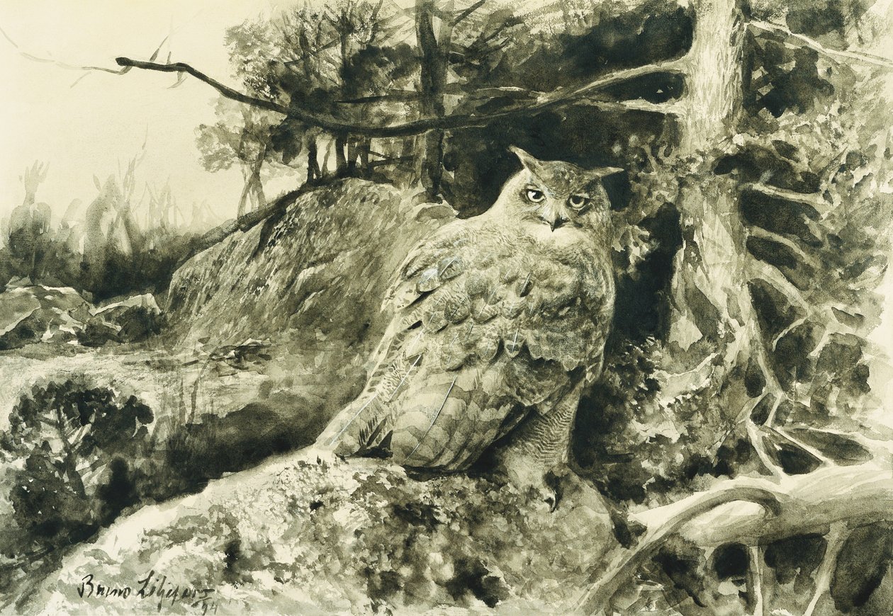 Bergův (výr) Bubo Bubo od Bruno Andreas Liljefors