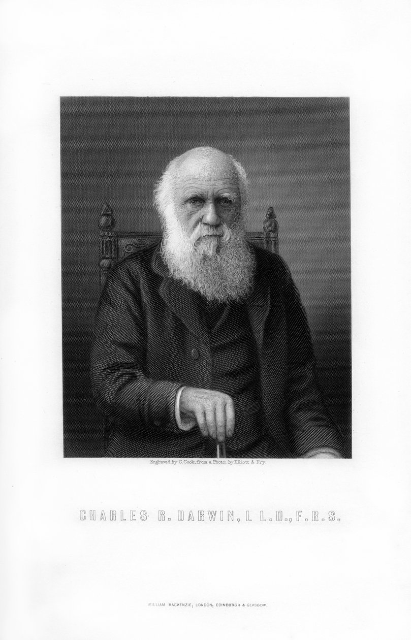 Charles Darwin , britský přírodovědec, 1899. od C. Cook