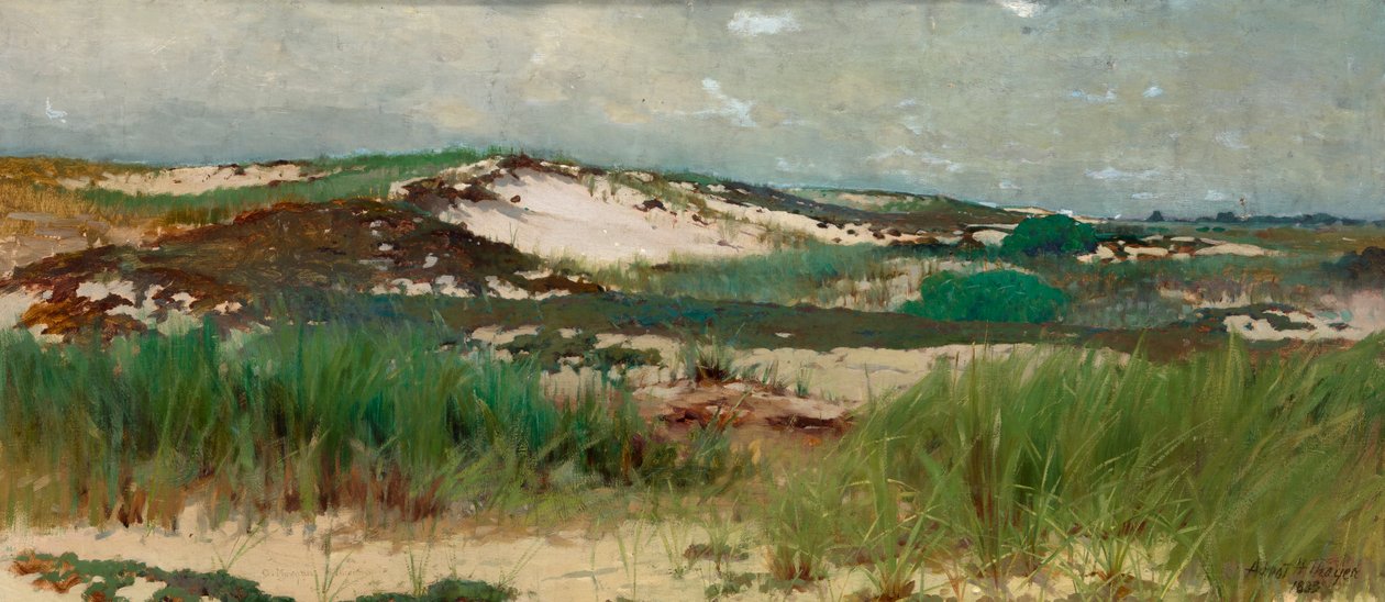Nantucket Sand Dune, ca. 1890. od C. Morgan McIlhenney