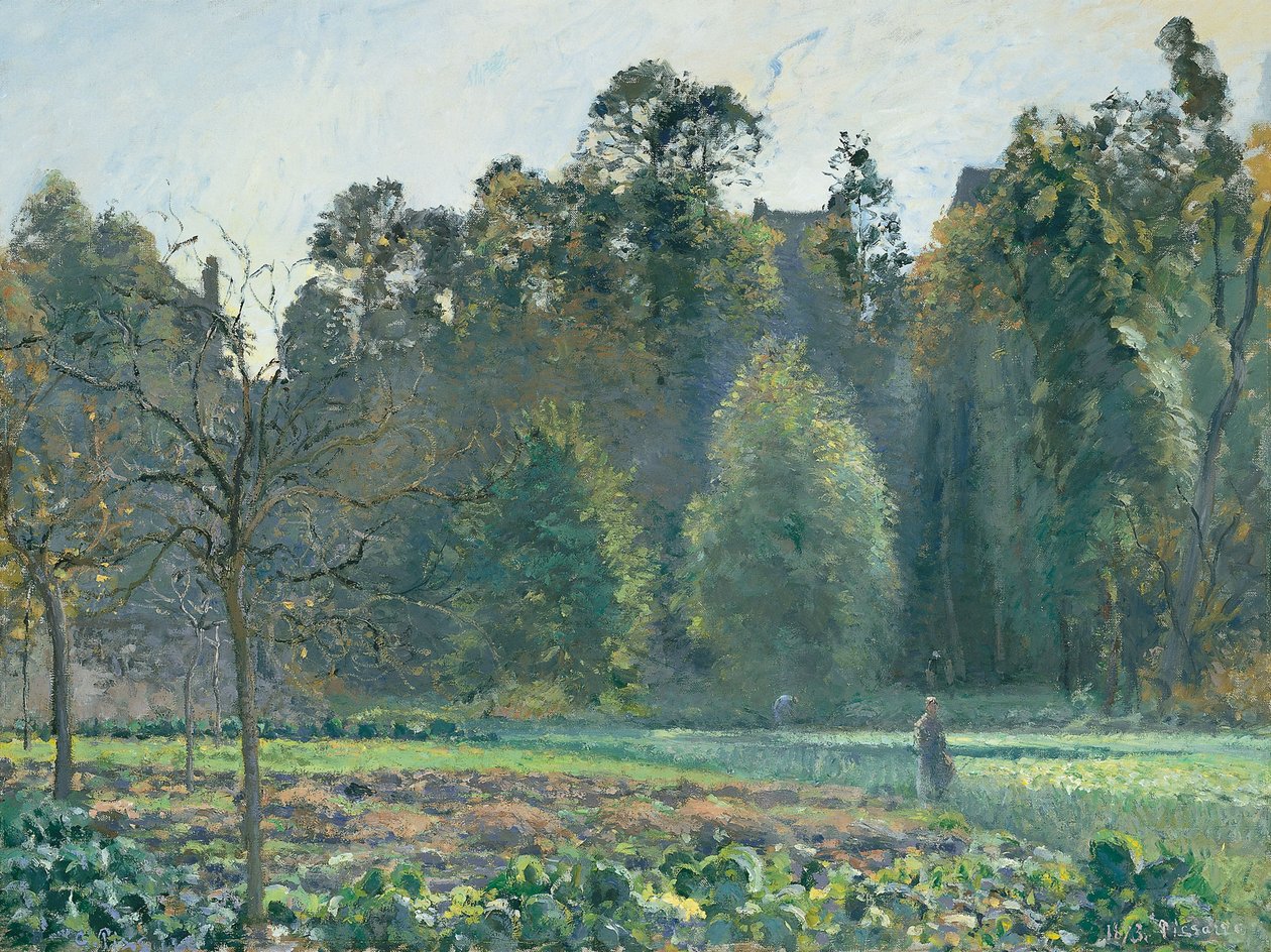 Zelné pole, Pontoise od Camille Jacob Pissarro