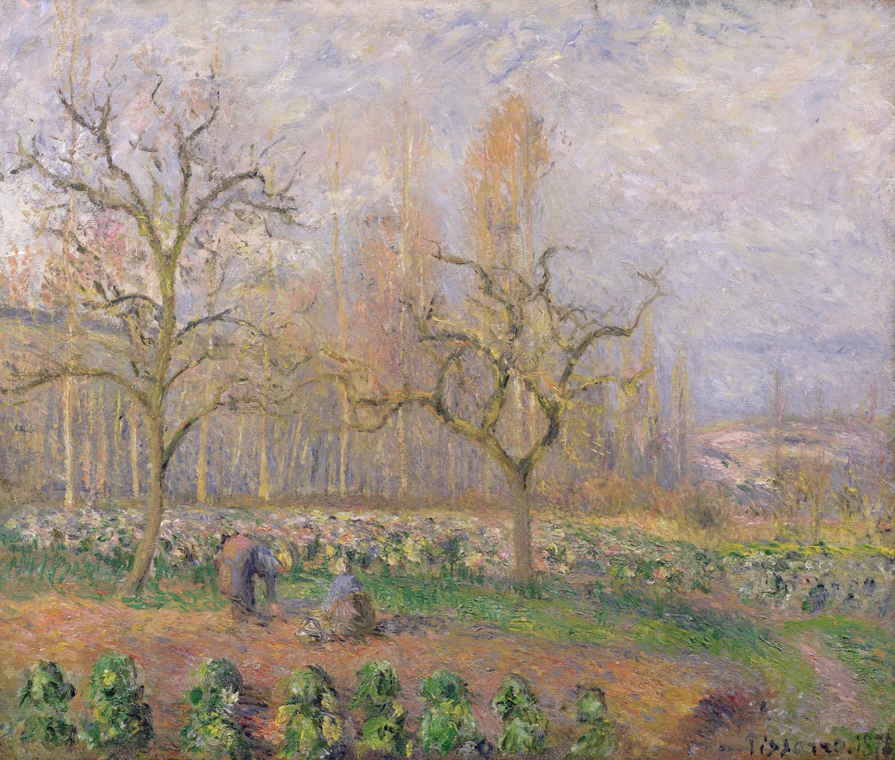 Orchard v Pontoise, 1878 od Camille Jacob Pissarro