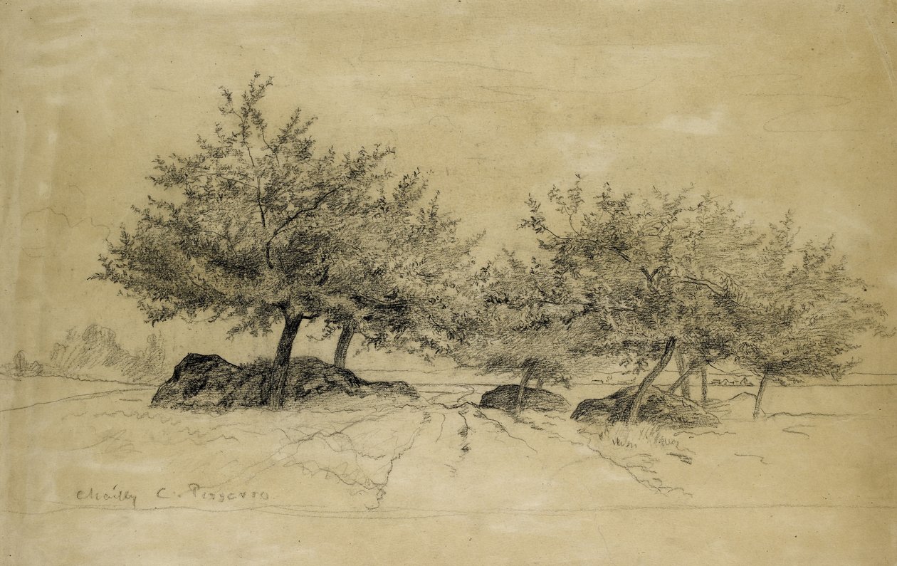 Recto: Chailly, c. 1859 (uhl na béžovém papíře) od Camille Jacob Pissarro