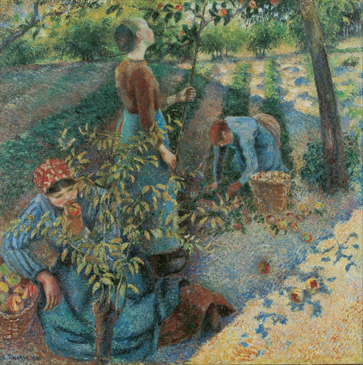 Sbírání jablek od Camille Jacob Pissarro