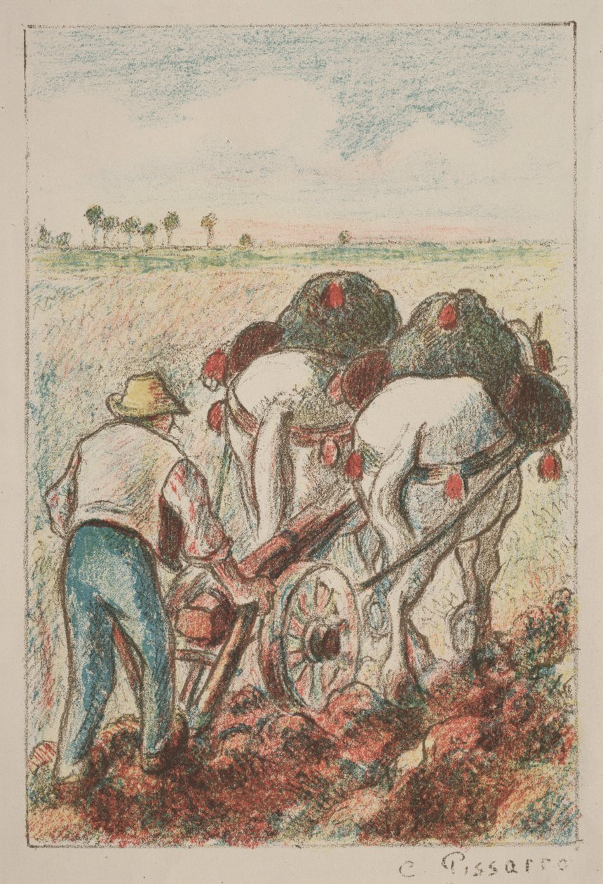 Pluh, 1901. od Camille Jacob Pissarro