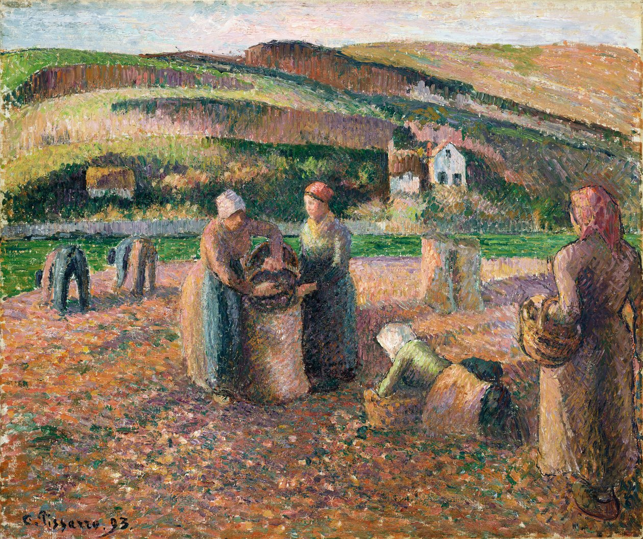 Sbírání brambor, 1893 od Camille Jacob Pissarro