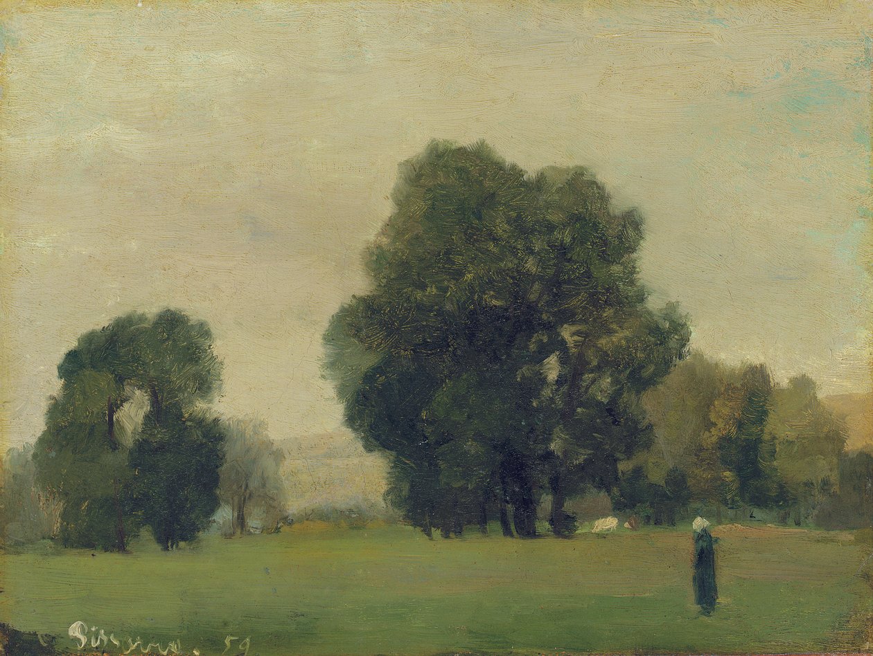 Meadows of La Roche-Guyon, 1859 od Camille Jacob Pissarro
