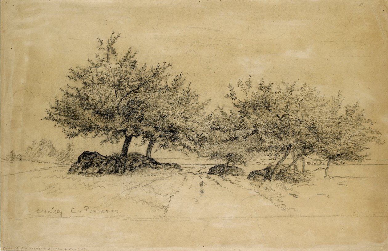 Chailly, c1859 od Camille Pissarro