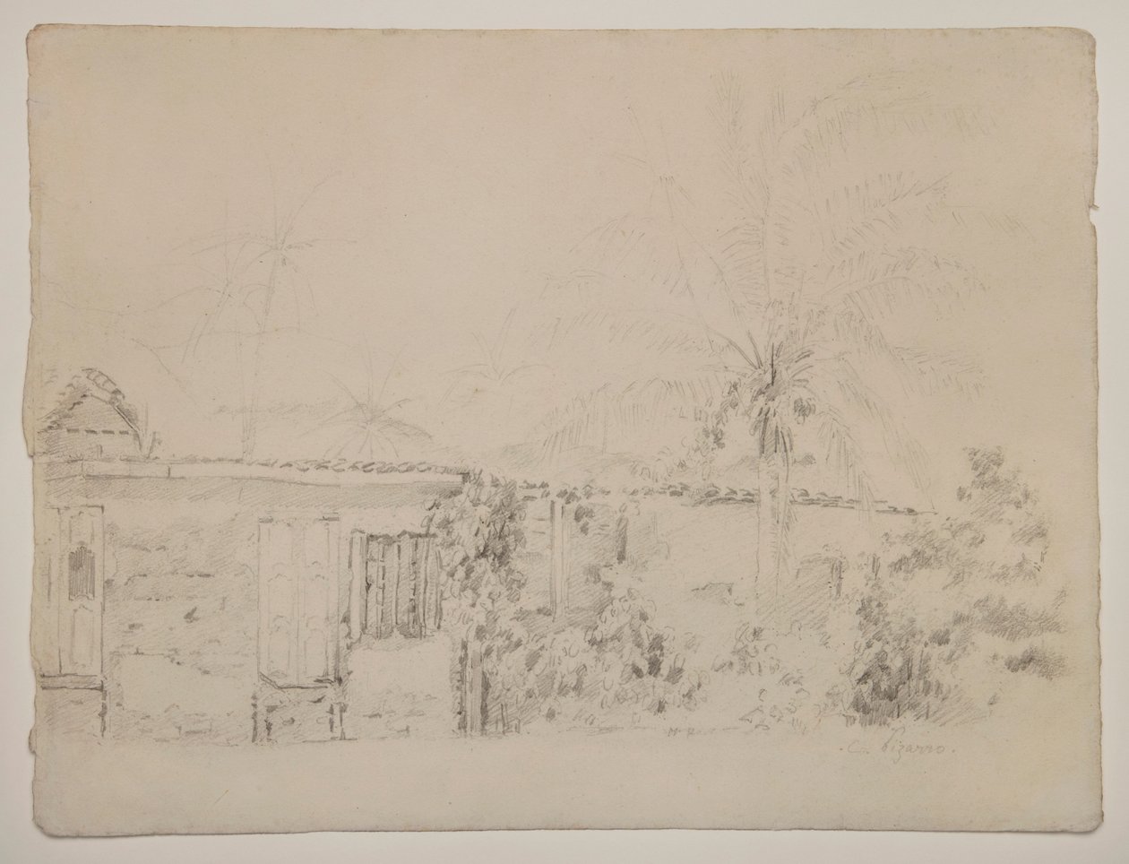 Domy a palmy od Camille Pissarro