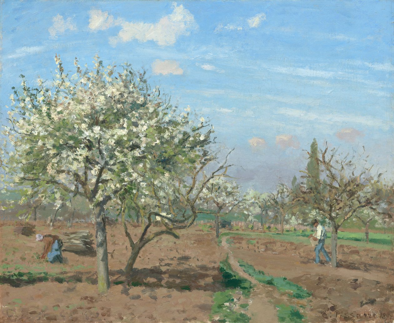 Orchard in Bloom, Louveciennes od Camille Pissarro