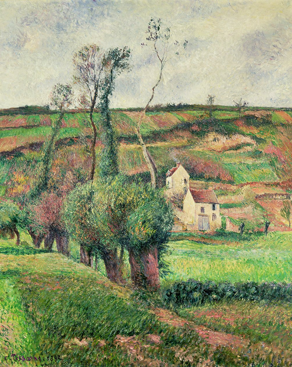 Kapustové svahy, Pontoise od Camille Jacob Pissarro