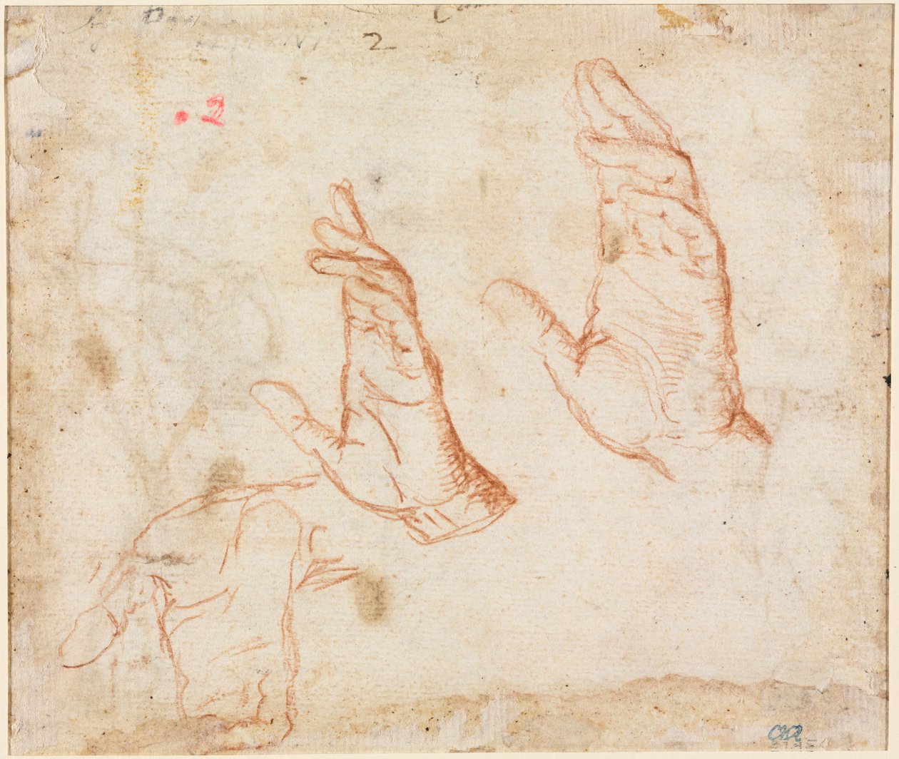 Studie rukou verso, c. 1590. od Camillo Procaccini