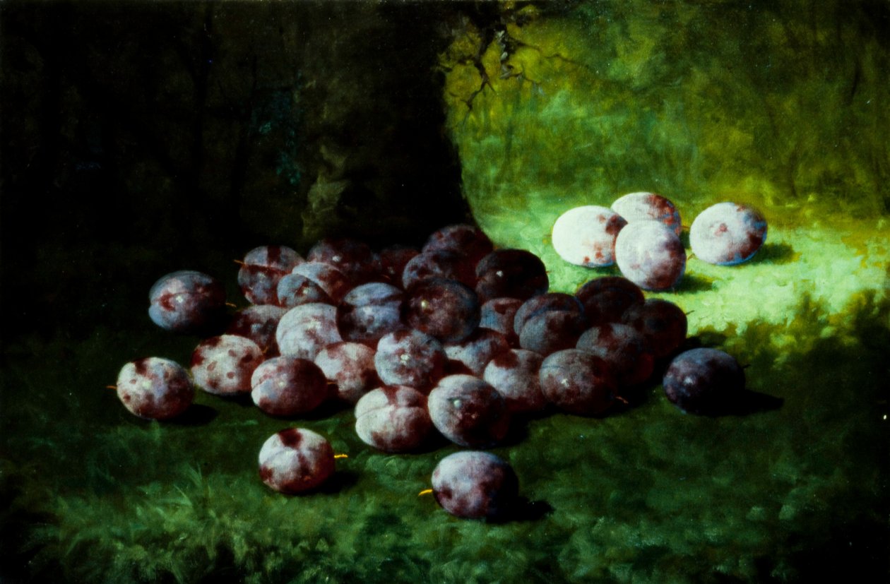 Plums, kolem roku 1870 (olej na plátně připevněno na desku) od Carducius Plantagenet Ream