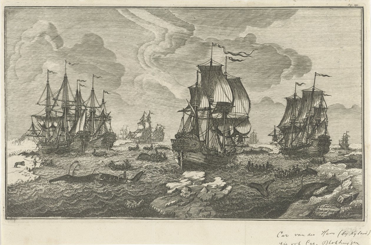 lovci velryb od Carel van der Hem