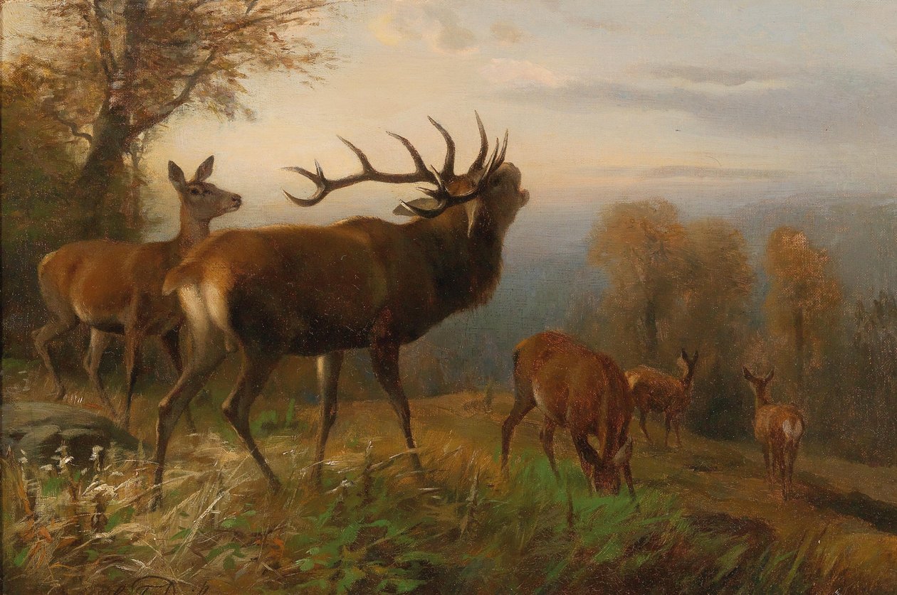 Stádo jelenů od Carl Friedrich Deiker