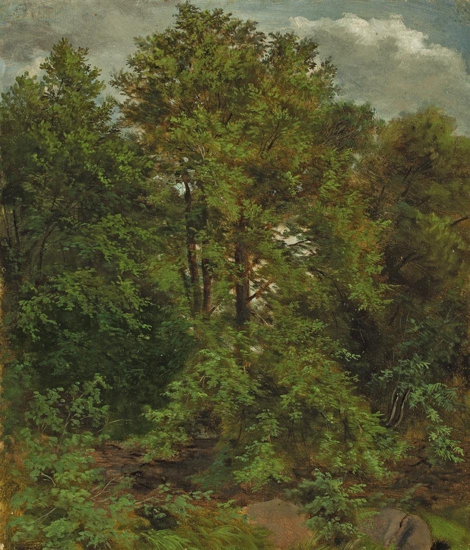 Motiv z Labského ostrova Pillnitz od Carl Gustav Carus