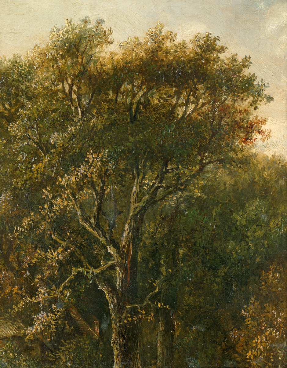 Lesní štuk s dubem od Carl Gustav Carus