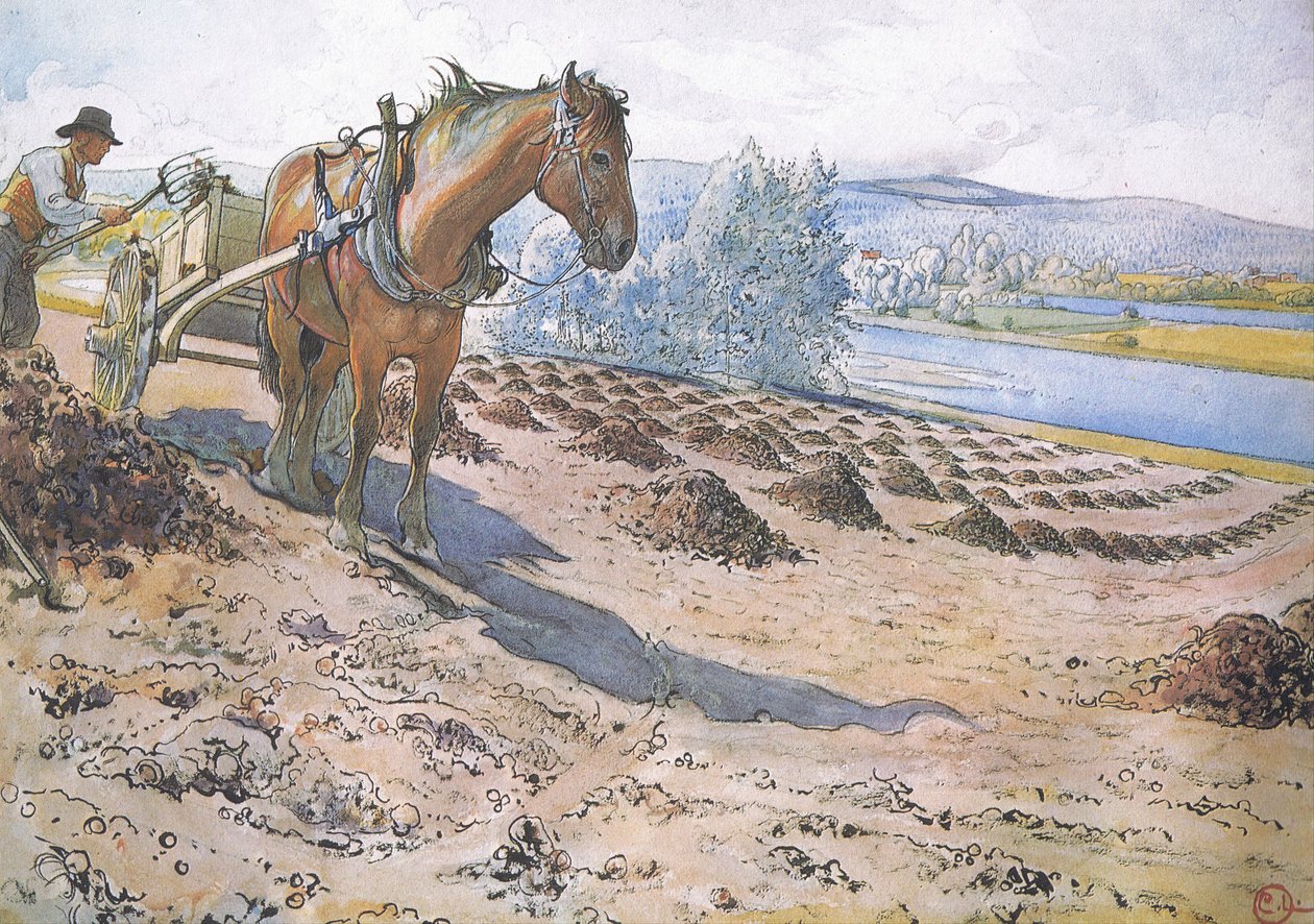 Muck šířící se na pole ladem od Carl Larsson