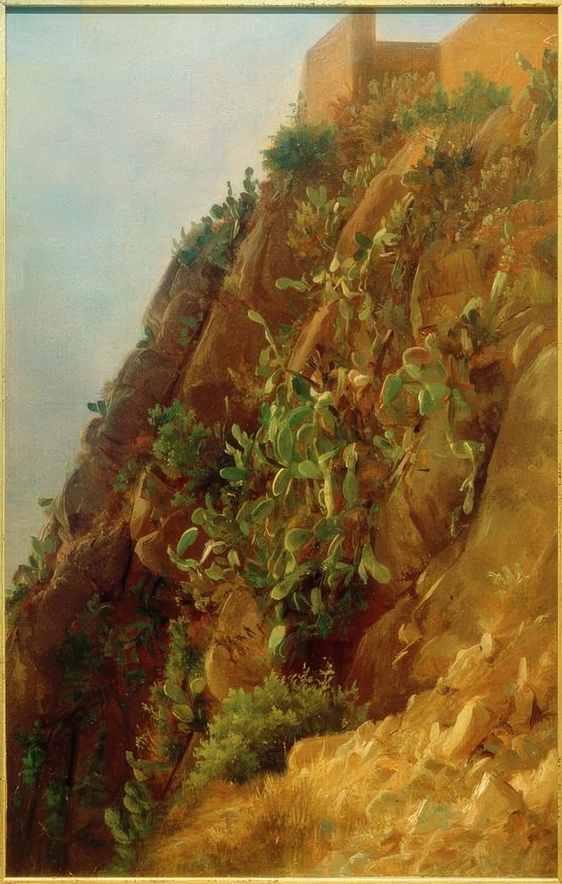 C. Morgenstern, Opuntia na svahu na Capri od Carl Morgenstern