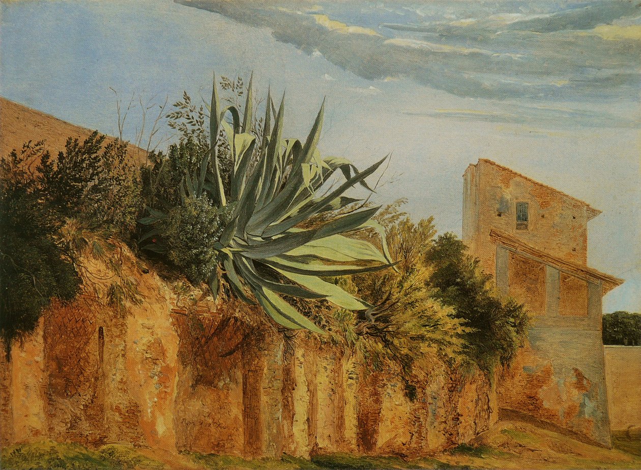 Na městské zdi Říma Francais: Agave sur un mur de Romen od Carl Wagner