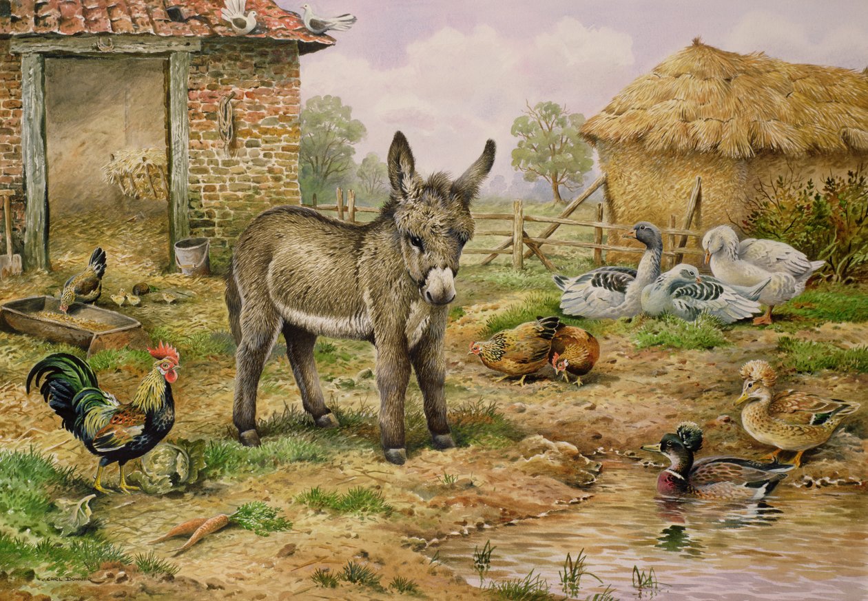 Osel a selská drůbež od Carl Donner