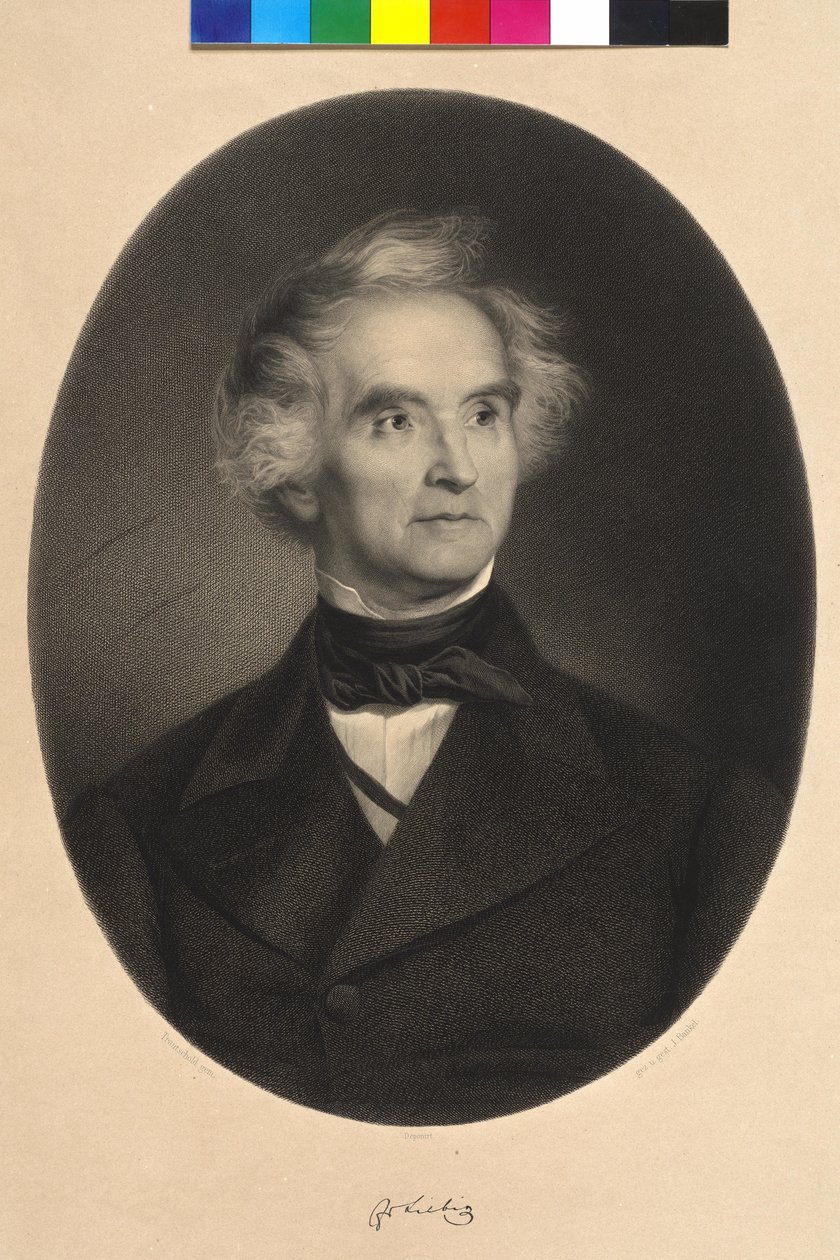 Justus baron von Liebig od Carl Friedrich Wilhelm (after) Trautschold