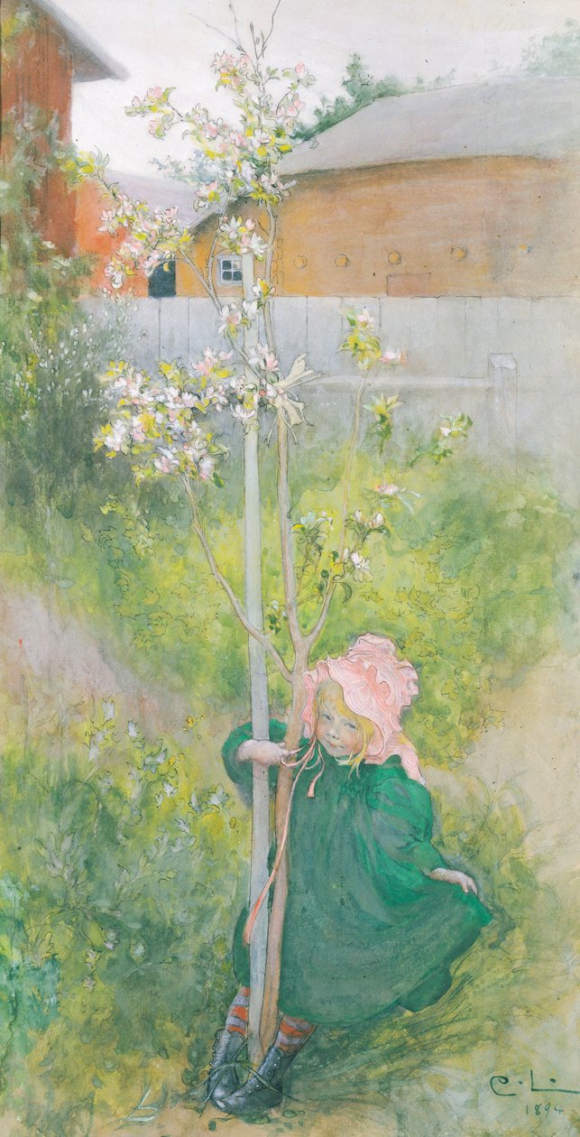 Jabloňový květ, 1894 od Carl Larsson