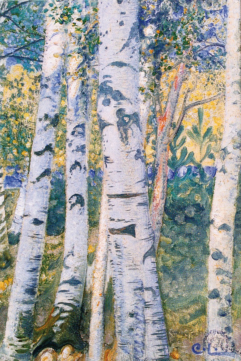 Břízy, 1910 od Carl Larsson