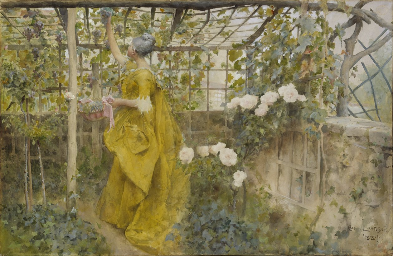 The Vine, 1884 (wc na papíře) od Carl Larsson
