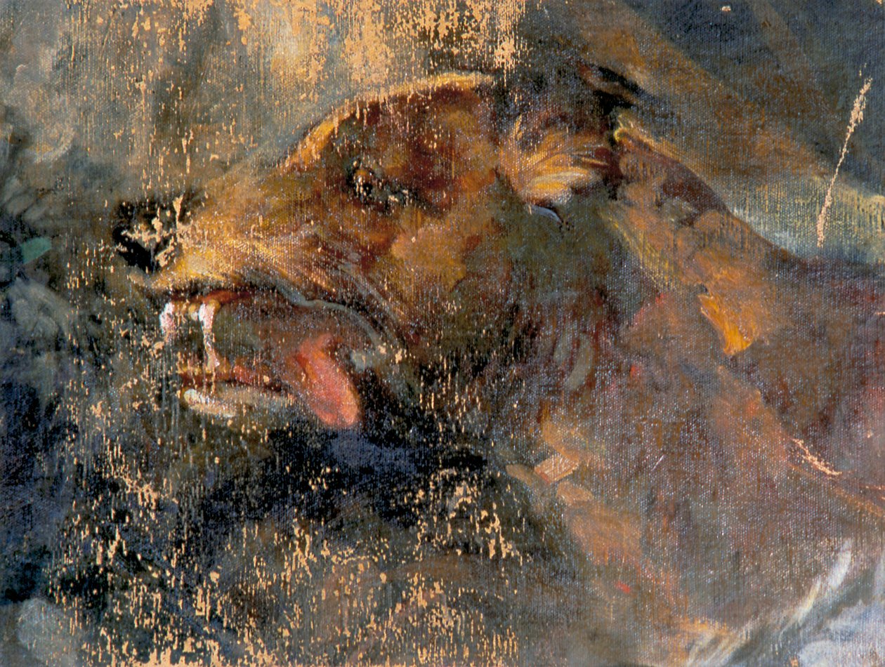 psí hlava od Carl Rudolf Huber