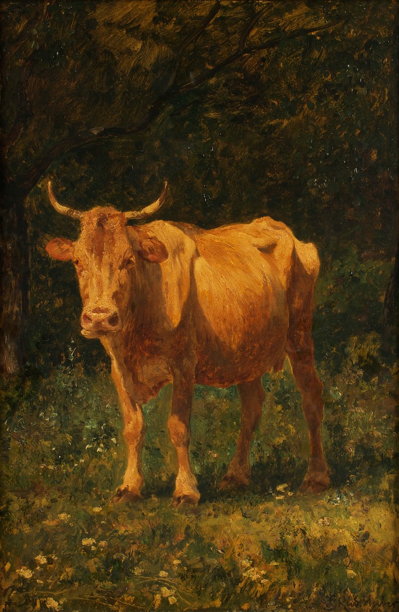 Kráva barvy chleba od Carl Rudolf Huber