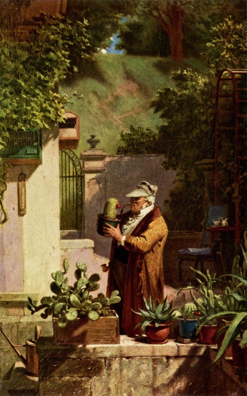Kaktus od Carl Spitzweg