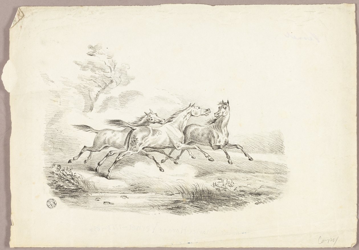 Tři koně běží od Carle Vernet