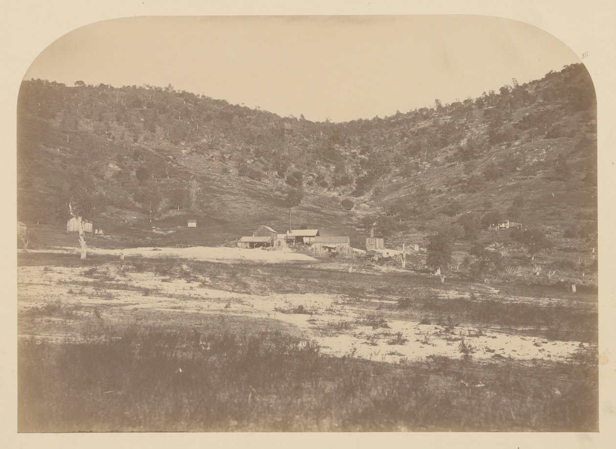 (Bear Valley Mill) od Carleton E. Watkins