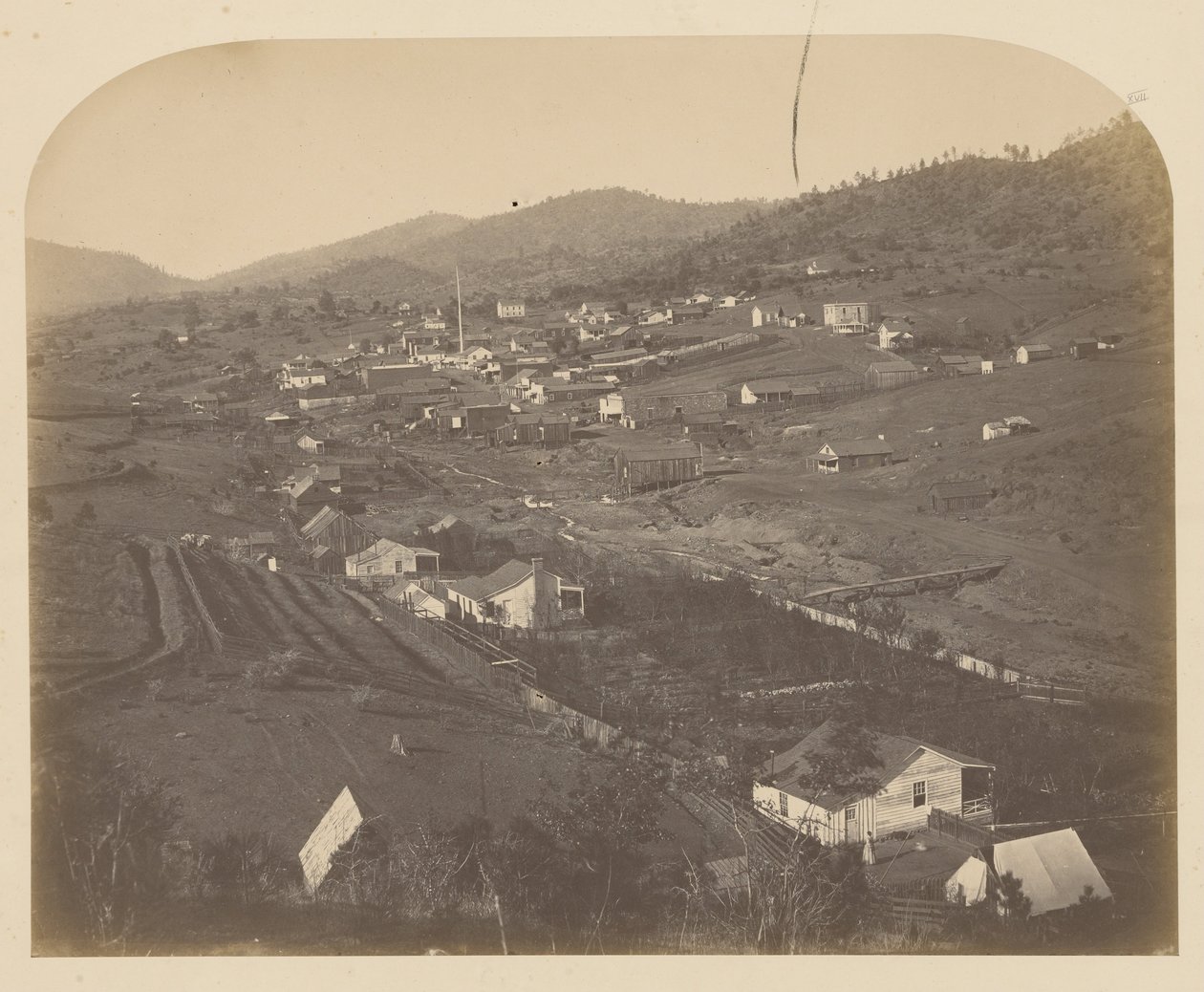 (Mariposa od Carleton E. Watkins