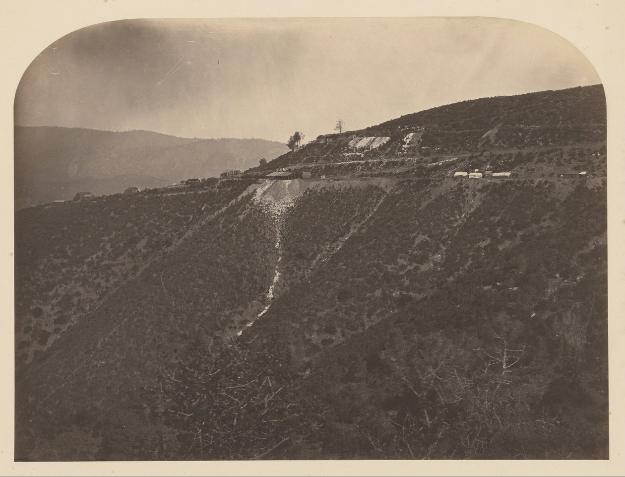 (Pine Tree Mine) od Carleton E. Watkins