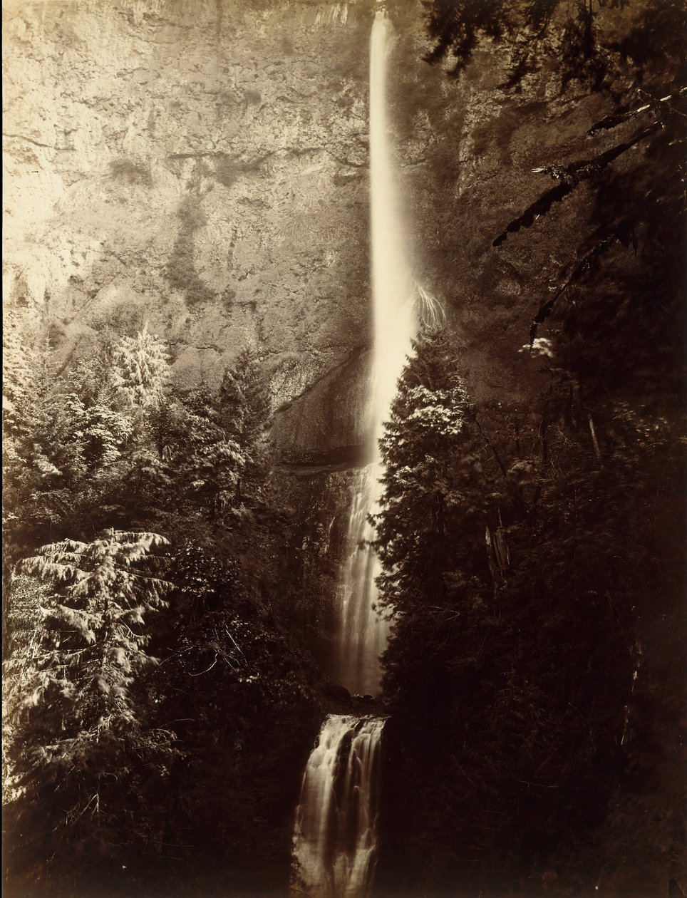 Multnomah Falls Cascade, Columbia River, 1867. od Carleton Emmons Watkins