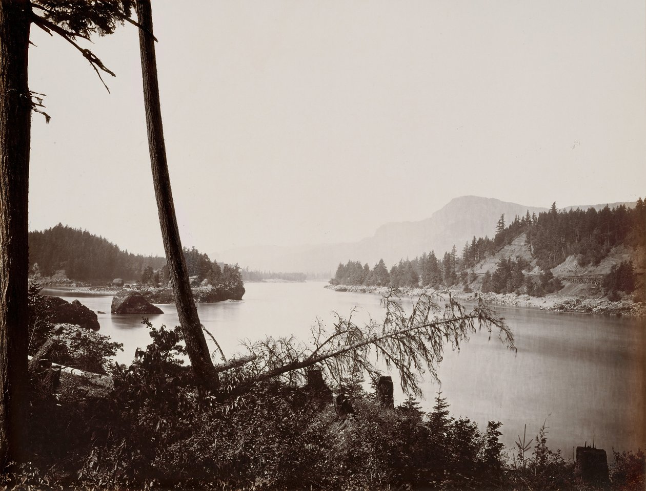 Pohled na Columbia, Cascades, 1867. od Carleton Emmons Watkins