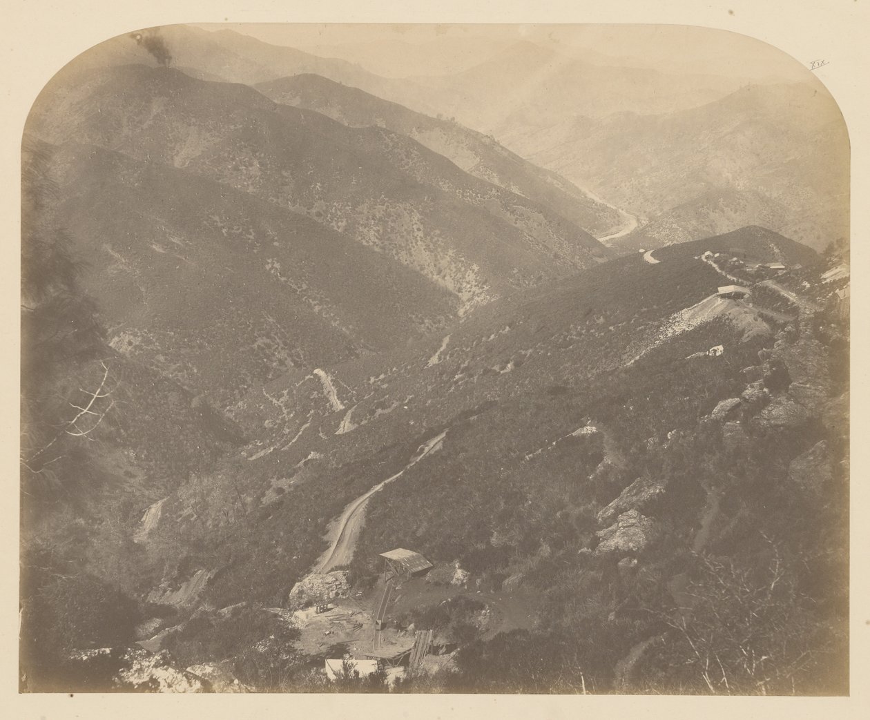[Josefína a borovice] od Carleton Watkins